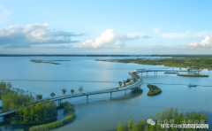 <b>要考虑家庭生齿布局</b>